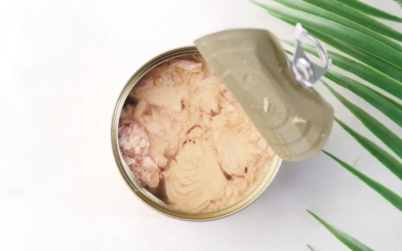 Zinātnieki atklāja lašu konservu kārbu, kuras derīguma termiņš bija beidzies pirms 50 gadiem, un to, ko viņi atklāja, pārsteidza zinātniekus: tas liecina, ka zivis nāk no veselīgas ekosistēmas.