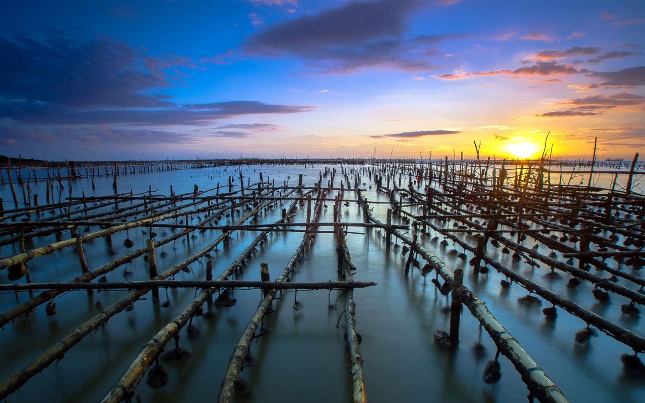 Latvija meklē nepieredzējušus darbiniekus savām lašu fermām ar algu virs 3000 eiro.