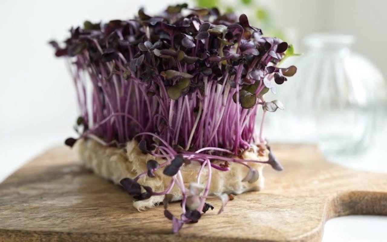 Ne mangolds, ne brokoļi, ne spināti: paziņots par visvērtīgāko dārzeņu pasaulē