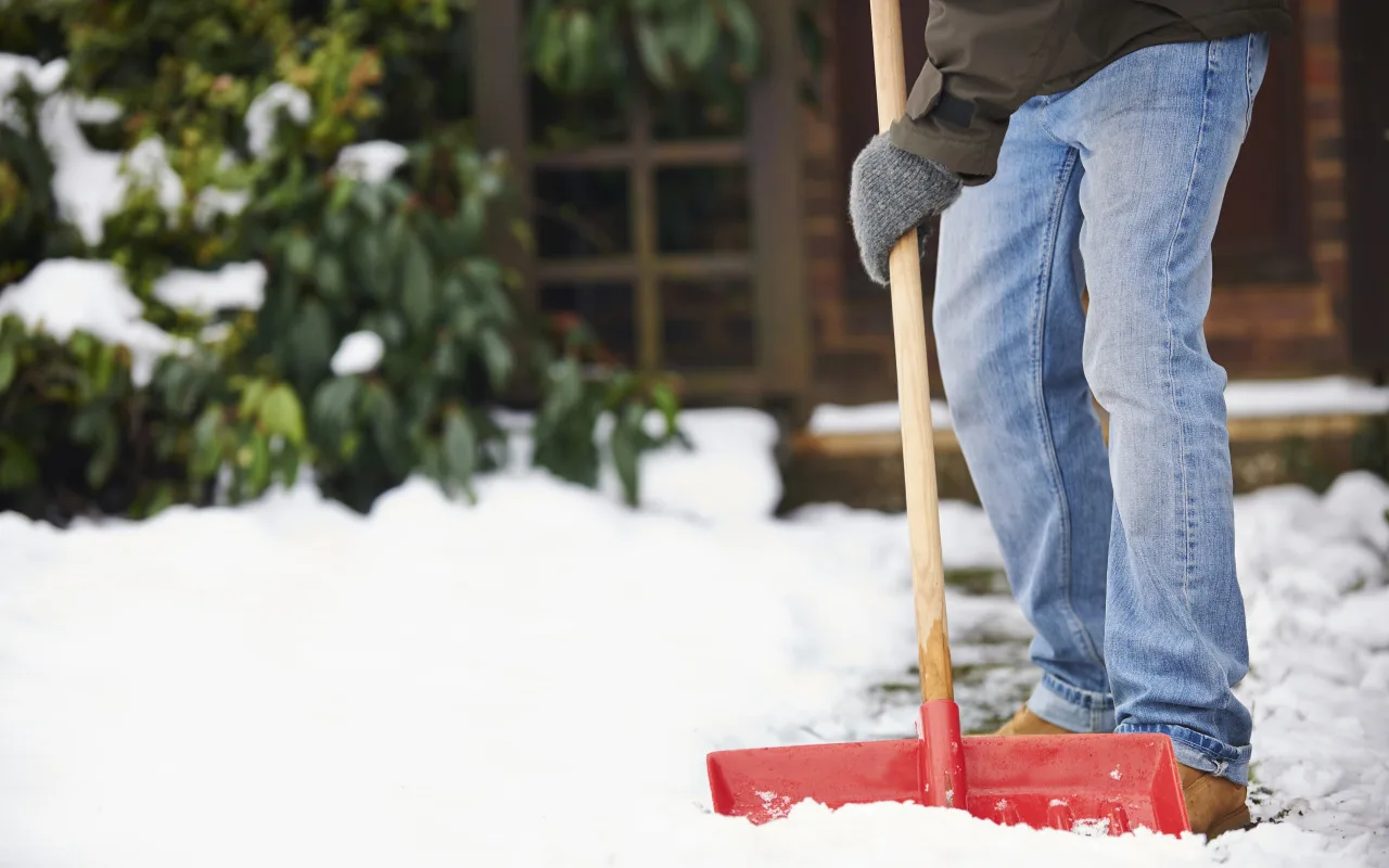 Tāpēc ziemā ieteicams piebraucamo ceļu apkaisīt ar kafijas biezumiem.