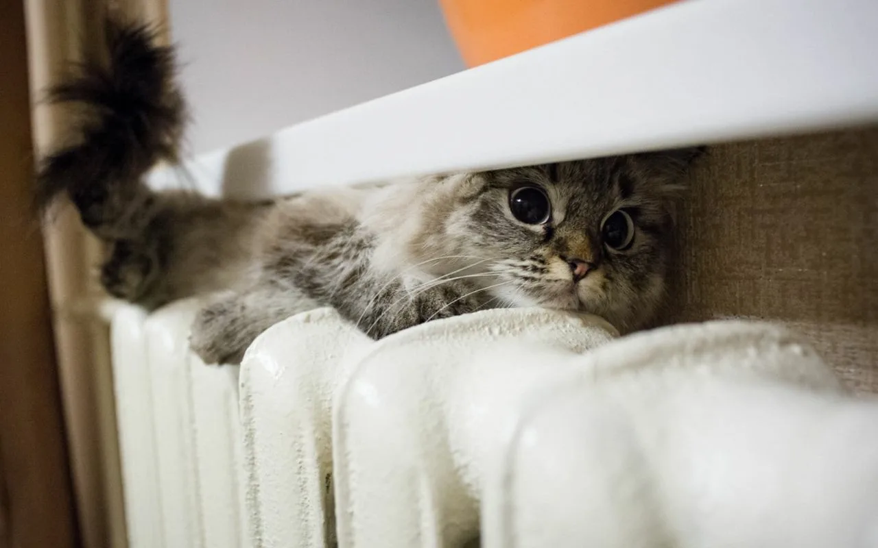 Eksperti ir vienisprātis: „Sildīt telpas visu dienu minimālajā režīmā nav labākais veids, kā samazināt gāzes izmaksas”.