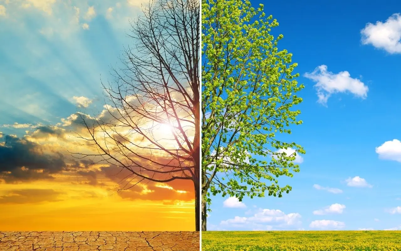 Ķīna vēlējās iegūt elektroenerģiju, bet tā vietā radīja kaut ko unikālu.