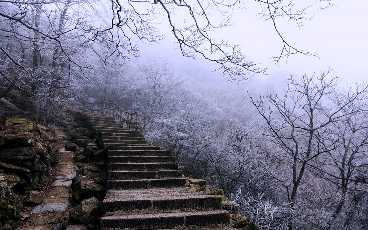 Tā vietā, lai izmantotu sāli, apkaisiet ar to piebraucamo ceļu un kāpnes. Jūs aizmirsīsiet par šiem baltajiem pēdām.