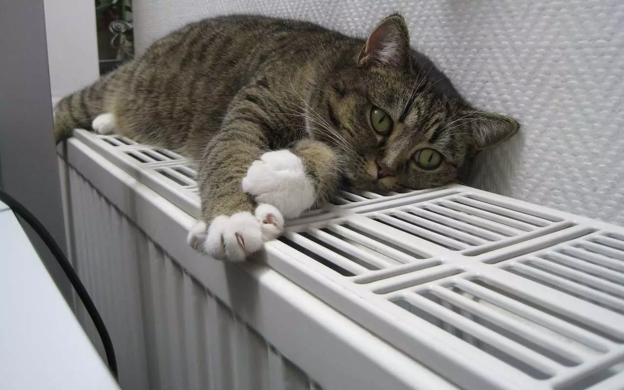 Eksperti ir vienisprātis: „Sildīt telpas visu dienu minimālajā režīmā nav labākais veids, kā samazināt gāzes izmaksas”.