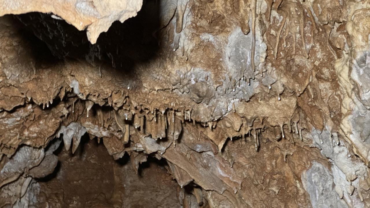 Kā 18 000 gadus vecs stalagmīts maina lauksaimniecības vēsturi: zinātnieki ir pārsteigti