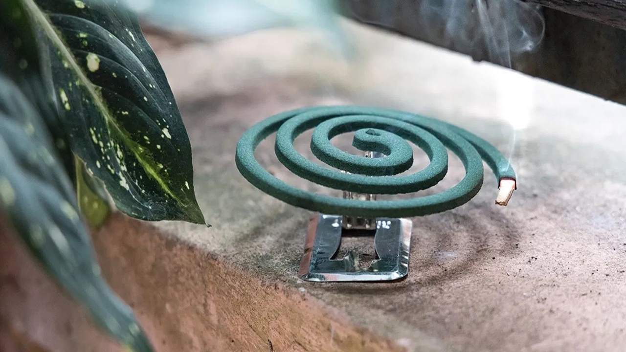 Kā no dažiem sastāvdaļām izgatavot pašdarinātu spirāli pret odiem, lai vasarā atbaidītu odus.