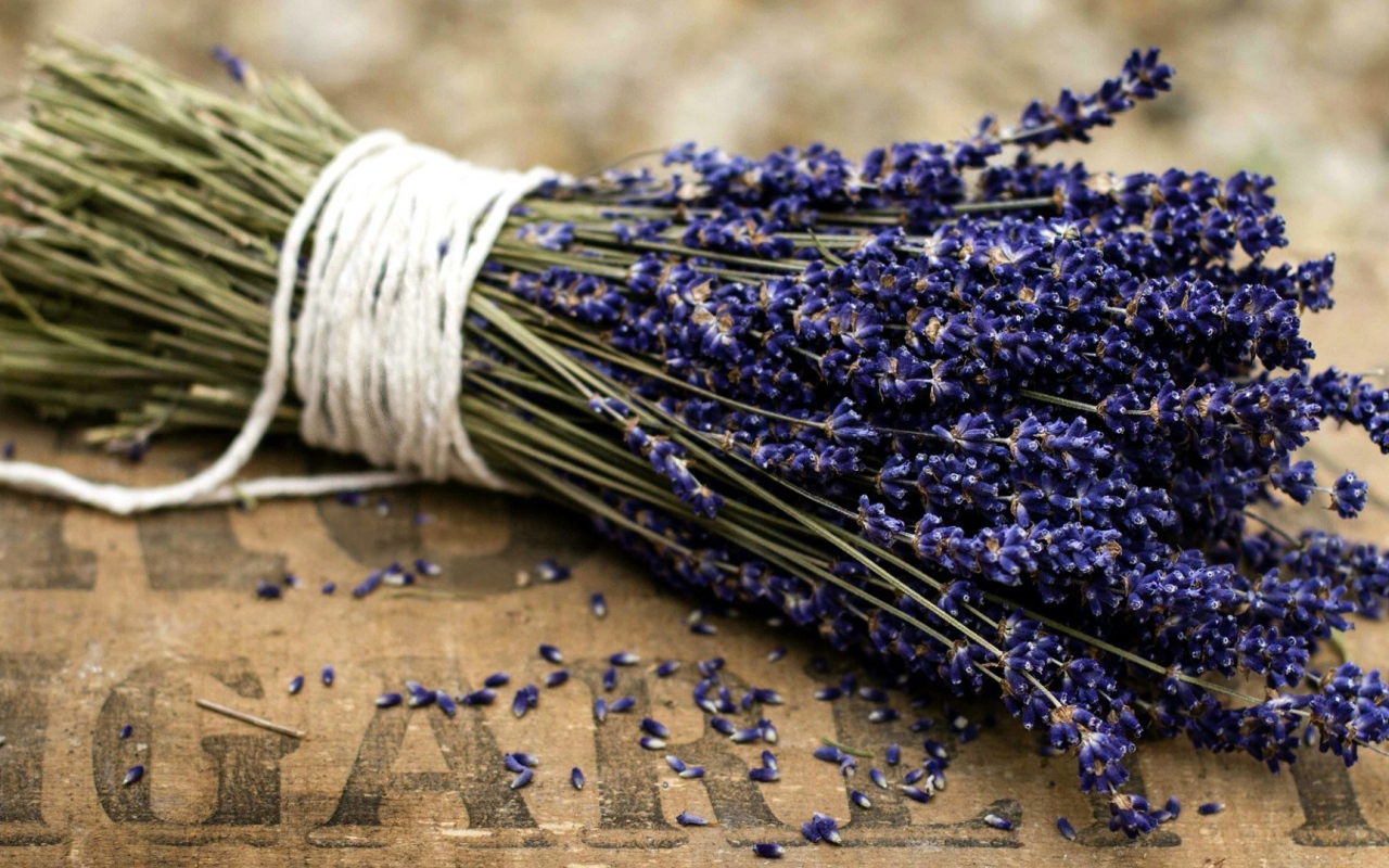 Lavandas zariņu novietošana uz ieejas durvīm: kāpēc tas ir nepieciešams un kāpēc tas ir ieteicams.