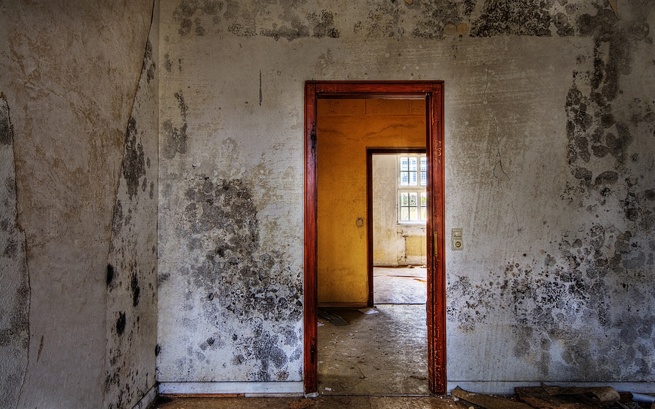 IL: Šādi var uzreiz atpazīt māju, kas skarta ar pelējumu.