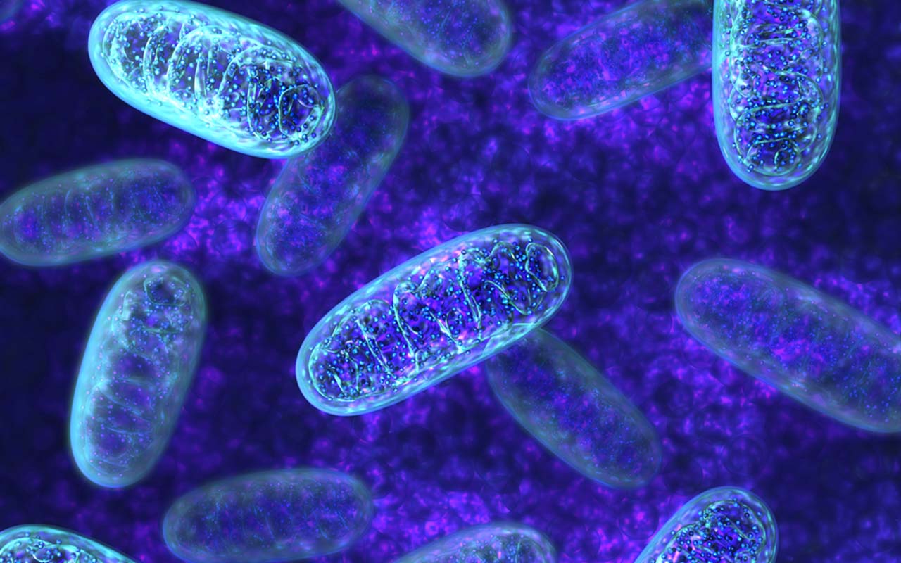Mūsu apsēstības ar Marsa terraformēšanu gaitā mēs atklājām divas baktērijas: viena ražo cementu, otra to aizsargā.