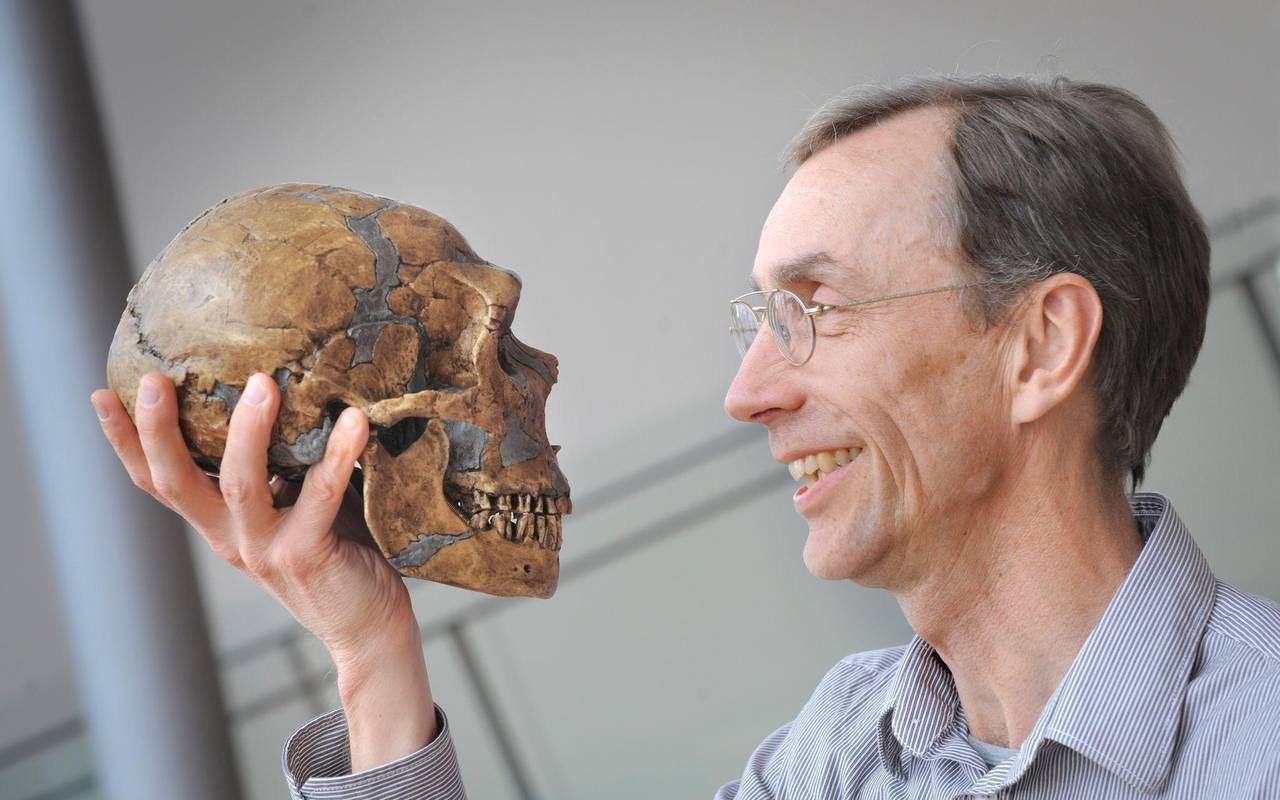 Scul I — meitene, kas dzīvoja pirms 140 000 gadiem un pārrakstīja neandertāliešu un Homo sapiens pirmā kontakta vēsturi