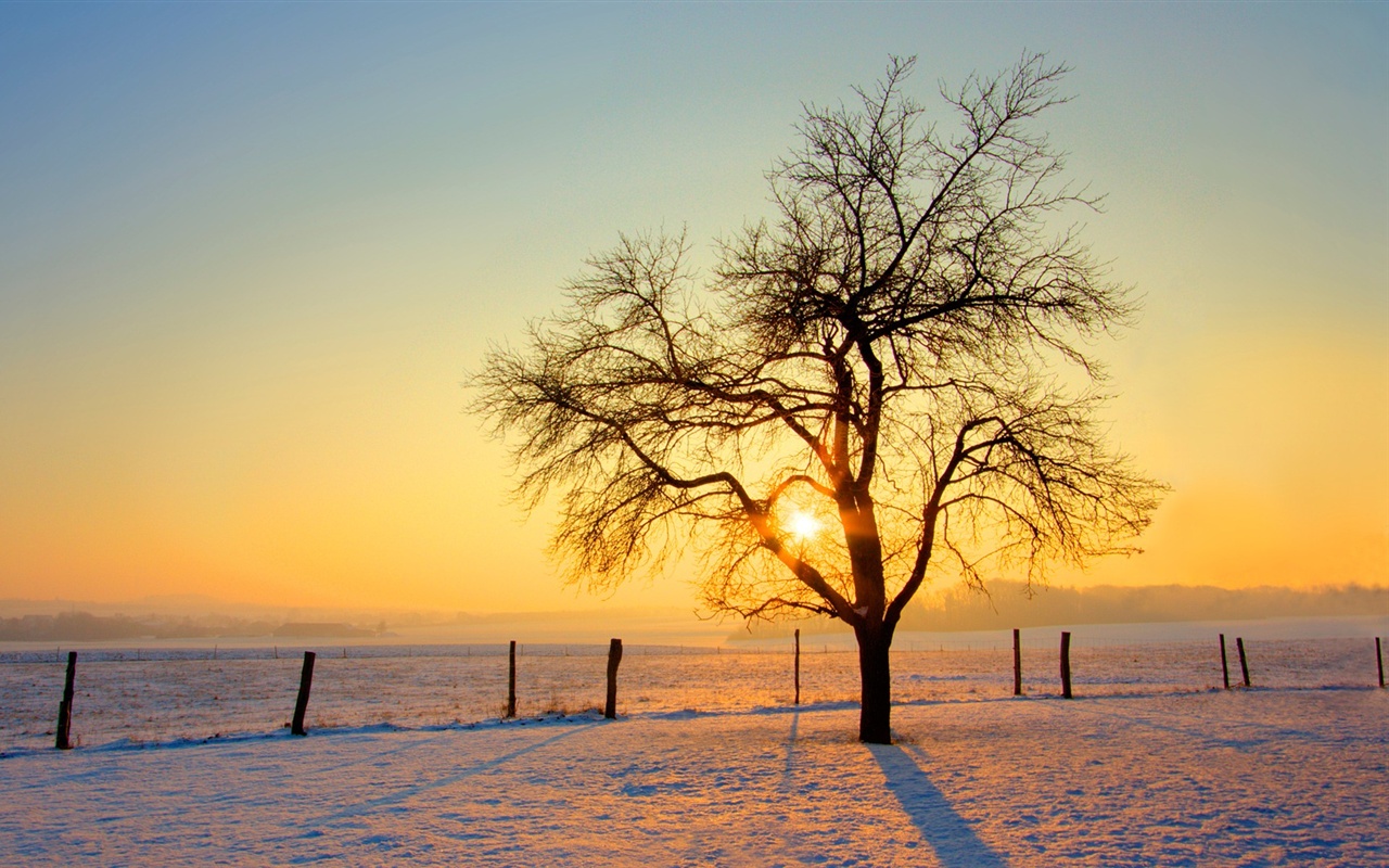 Kad ir ziemas saulgrieži?