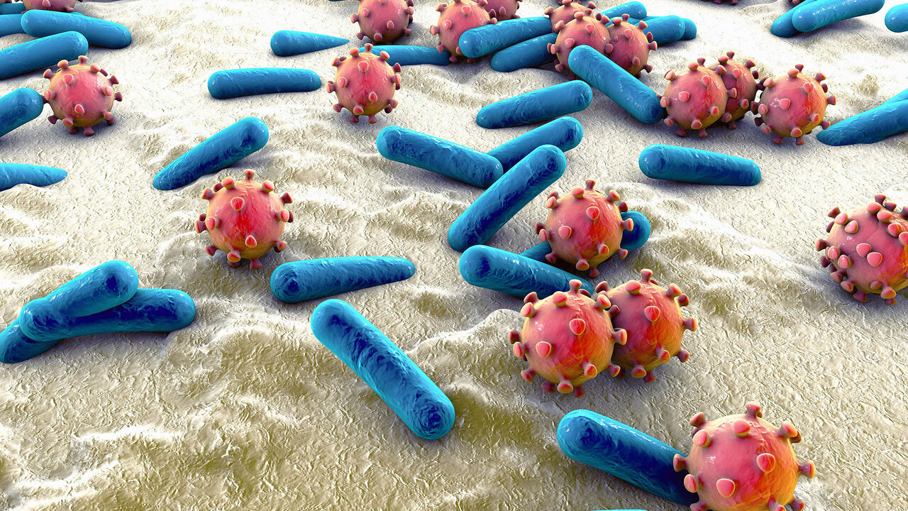Pētnieki nevar tam noticēt: viņi ir atklājuši tūkstošiem jaunu mikroorganismu sugu dažādu zālēdāju dzīvnieku ekskrementos.