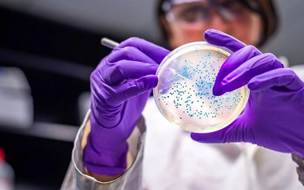 Mūsu apsēstības ar Marsa terraformēšanu gaitā mēs atklājām divas baktērijas: viena ražo cementu, otra to aizsargā.