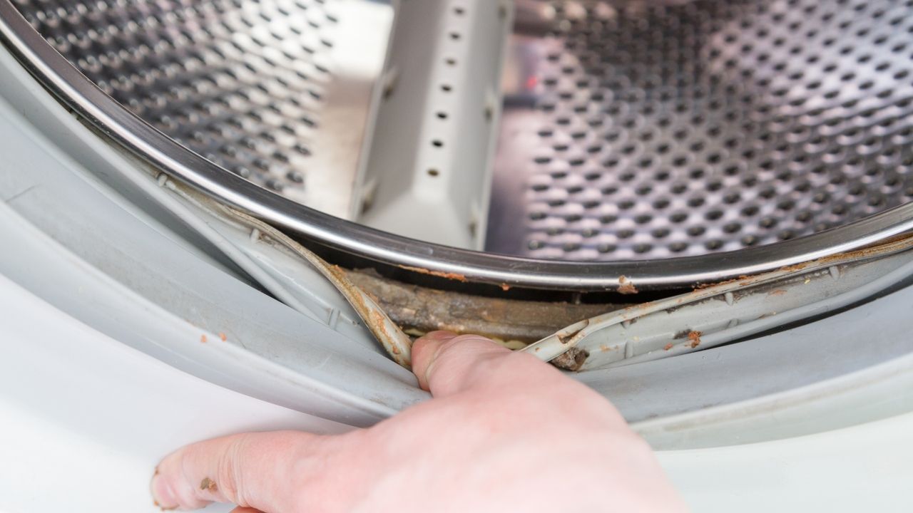 Tīrīšana: drošs veids, kā iztīrīt veļas mašīnas cilindru un padarīt to nevainojami tīru.
