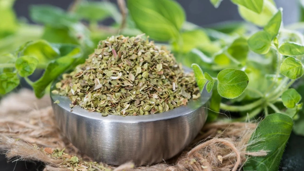 Kāpēc ieteicams izmest oregano kanalizācijā un kādas ir tā priekšrocības?