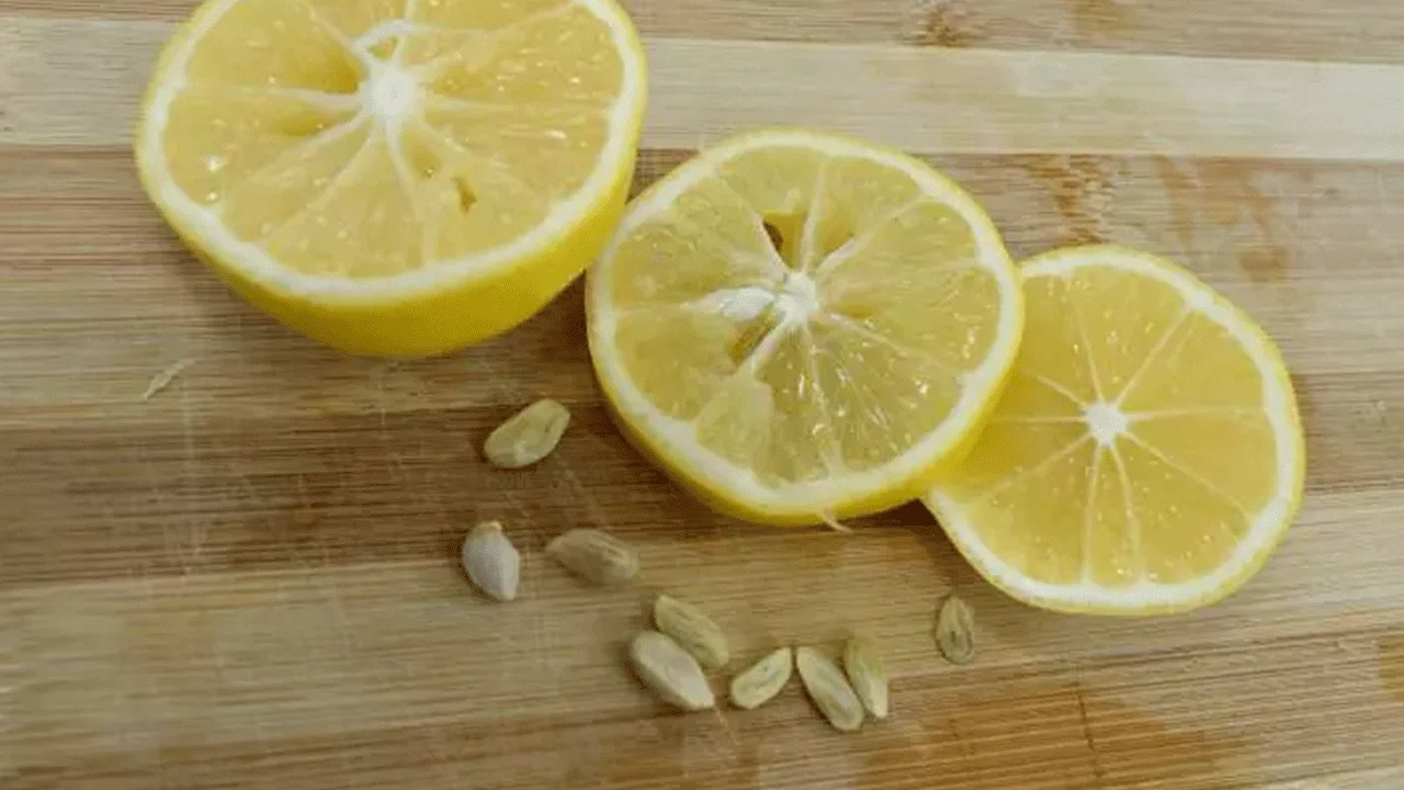 Neizmetiet citrona sēklas, tās ir īsts dārgums: kā tās atkārtoti izmantot saviem augiem.