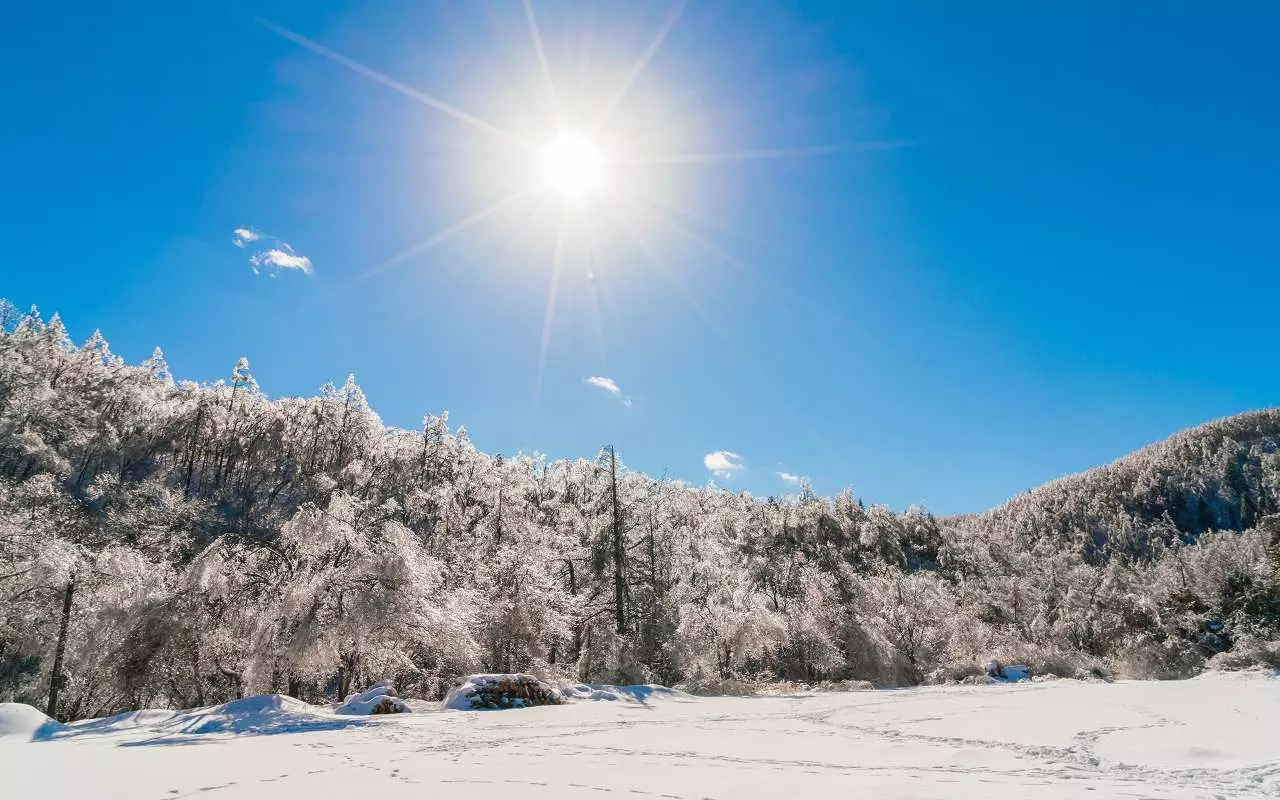 Kad ir ziemas saulgrieži?