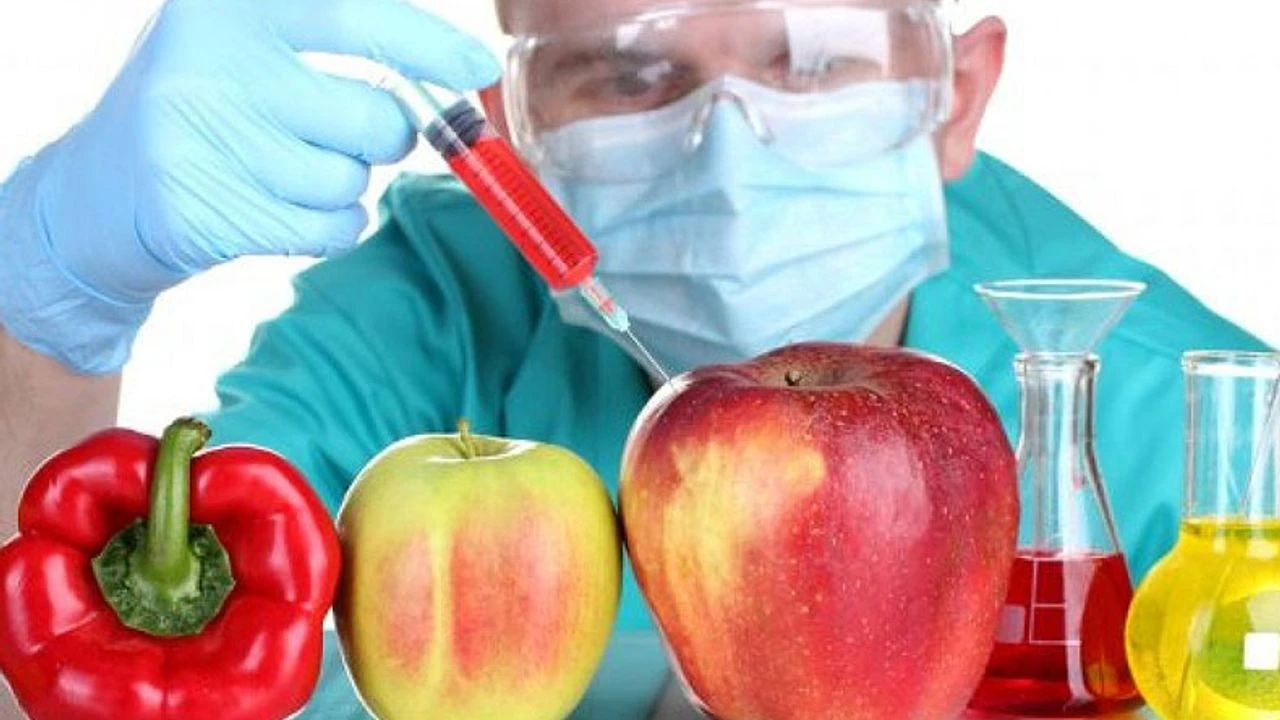 Augu hormons ļauj kontrolēt proteīnu saturu visā dzīvnieka dzīves laikā.