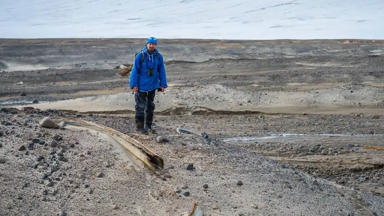 Zinātnieki bija šokēti, atklājot, ka pasaulē jaunākie mamutu fosilijas patiesībā piederēja vaļiem.