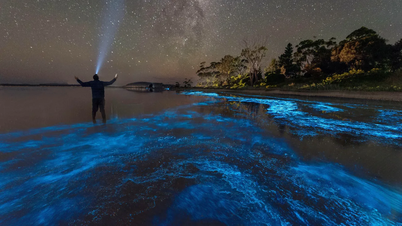 Punta del Este tūristus apburzina jūras fosforescences fenomens: kas tas ir un kur to var redzēt.