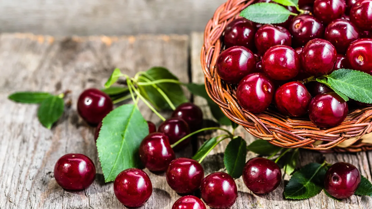 Ķirši 2025: globālā ražošana pārejas periodā un paplašināties tirgi