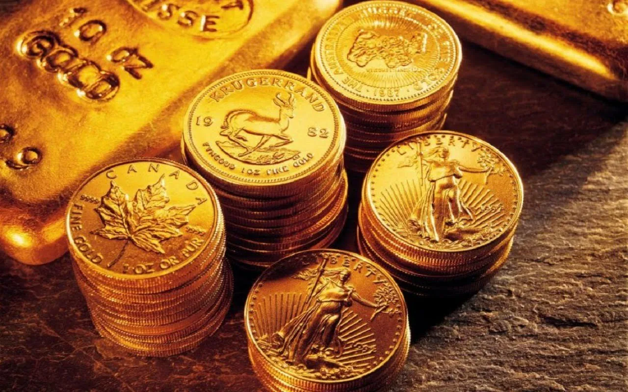 Gadsimta atklājums | Zelta monētas un zelta stieņi, kas atrasti apstrādātā laukā un pieder vienai valstij