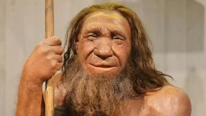 Vai neandertāliešu deguni bija labāk pielāgoti aukstumam nekā Homo sapiens?