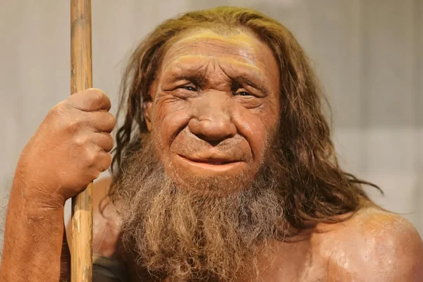 neandertāliešu