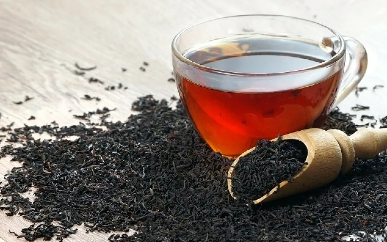 Pēc eksperta domām, šis dzēriens vislabāk piestāv rakletam: «Jūs jutīsiet mazāk nelabumu».