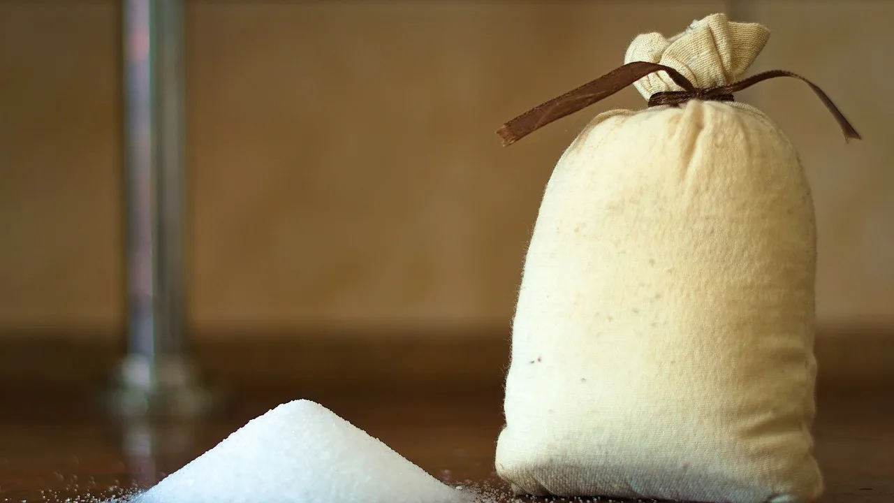 Pašreizējā tendence: kāpēc pie ieejas durvīm jākarājas maiss ar rupju sāli un kāpēc tas ir ieteicams?