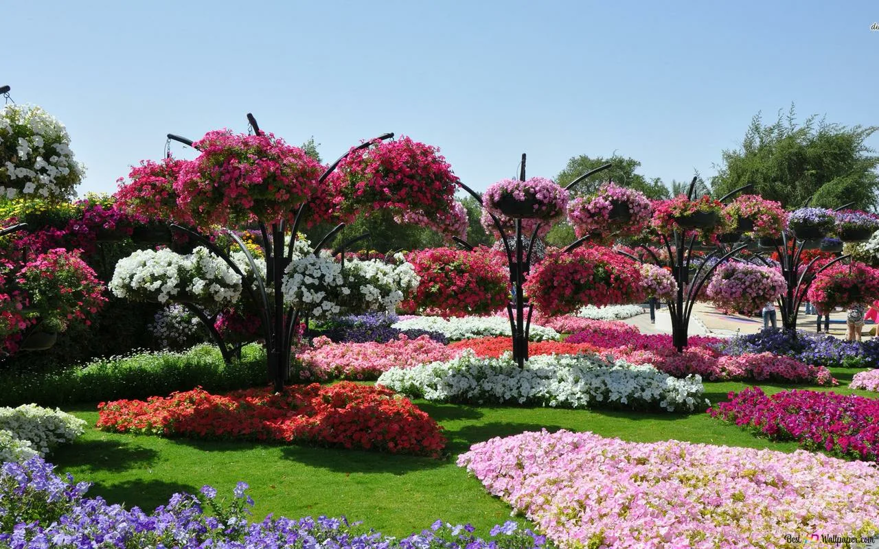 Šeihs Hamdans paziņoja par 152 jaunu parku izveidi Dubaijā un 33 km garu velosipēdu celiņu izbūvi