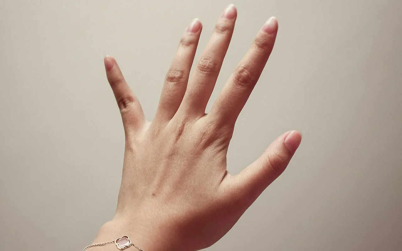 Šis pētījums ir revolūcija zinātnē: mūsu pirksti ir cēlušies no negaidīti atklāta orgāna.