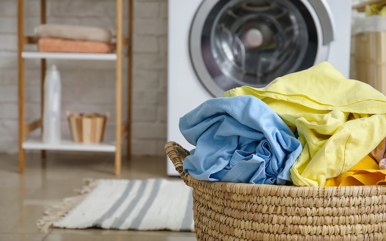 Kas ir labāk un ekonomiskāk: ECO režīms, kas darbojas daudz ilgāk, vai parasta mazgāšana?