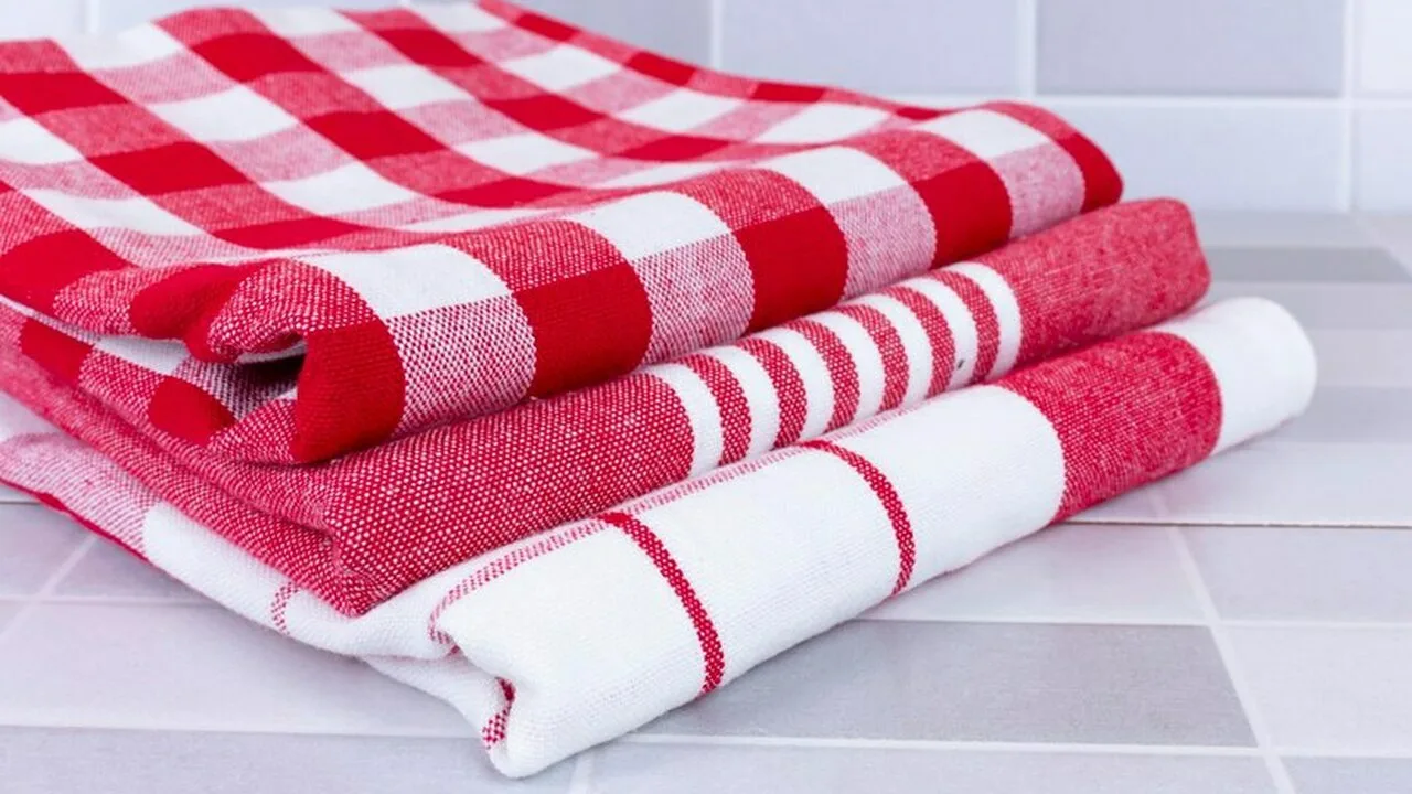 Eksperti stingri iesaka mazgāt šos priekšmetus, kas katram no mums ir virtuvē katru dienu.