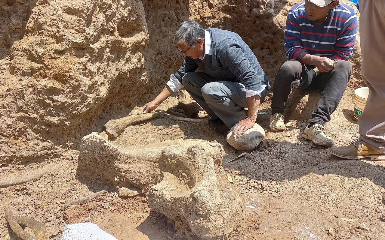 66 miljonus gadu vecs zobs liecina, ka šajās upēs dzīvoja plēsējs, kas bija lielāks par autobusu.