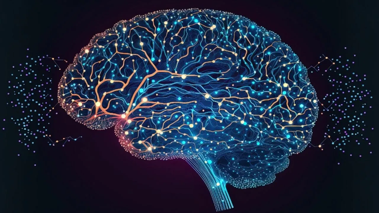 Viltus maina smadzeņu ķīmisko sastāvu un uzvedību