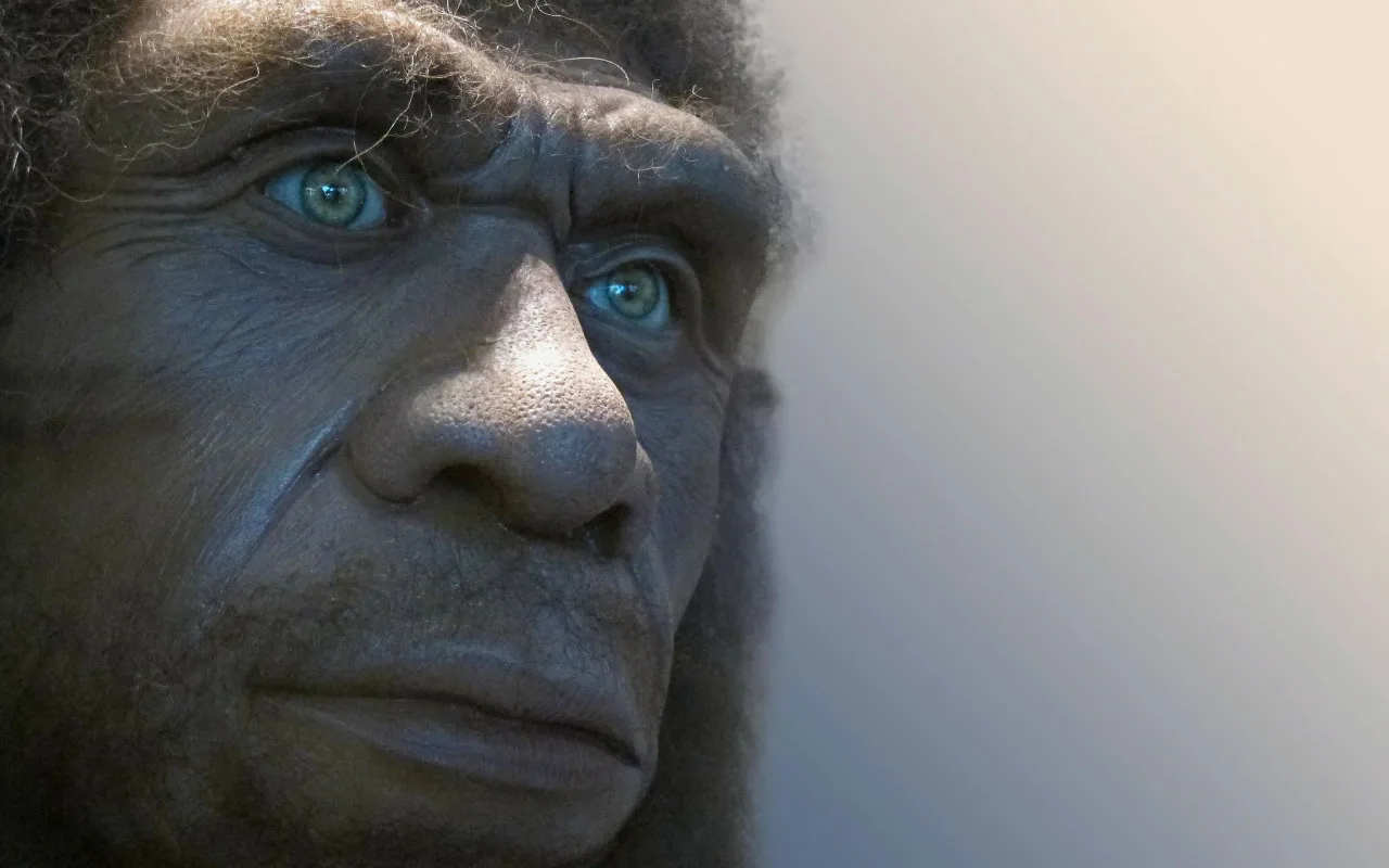 Zinātne pieņem, ka neandertālieši nav izmiruši kā suga, bet drīzāk saplūduši ar mums. Viņu mantojums dzīvo mūsdienu cilvēku DNS.