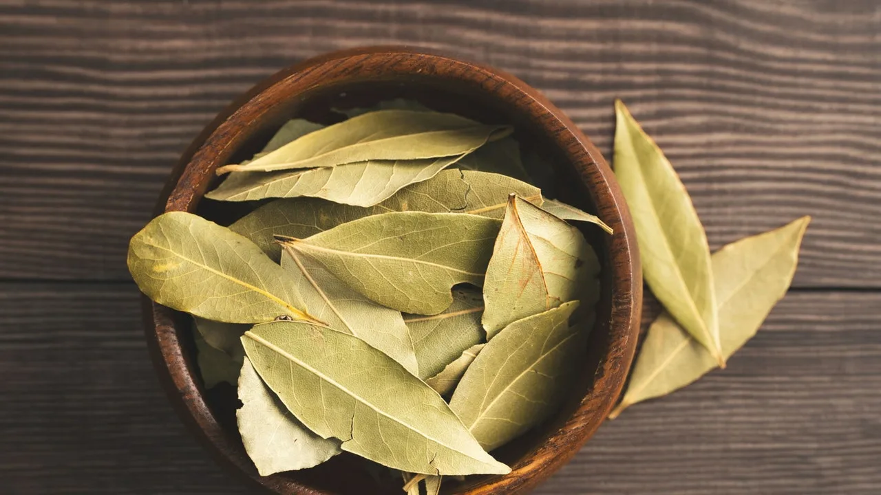 Lauru lapu uzkāršana uz vannas istabas durvīm: kāpēc tas ir nepieciešams un kāpēc tas ir ieteicams.