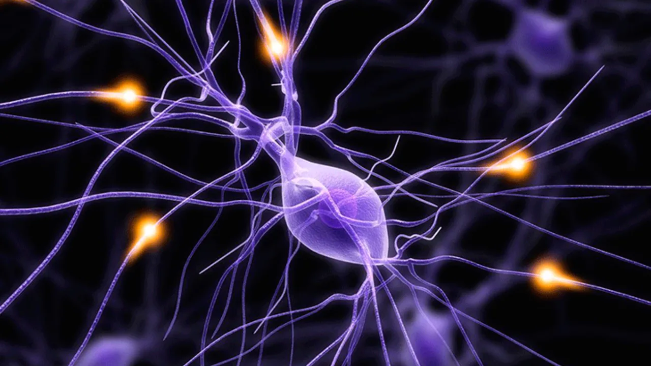 Dzīvās šūnas var ražot elektrību no kustības