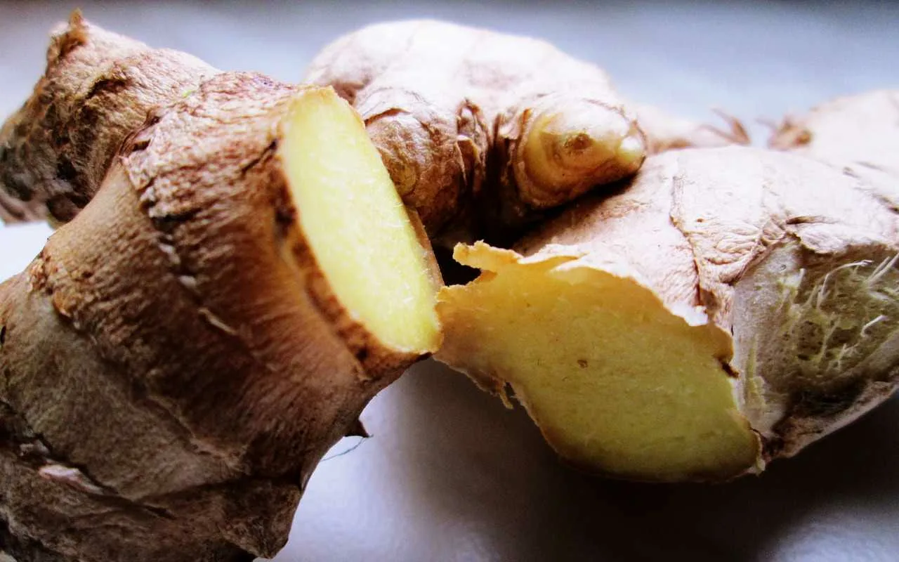 Ingvers ir noderīgs, bet ne visiem. Kam to nevajadzētu lietot un kāpēc?