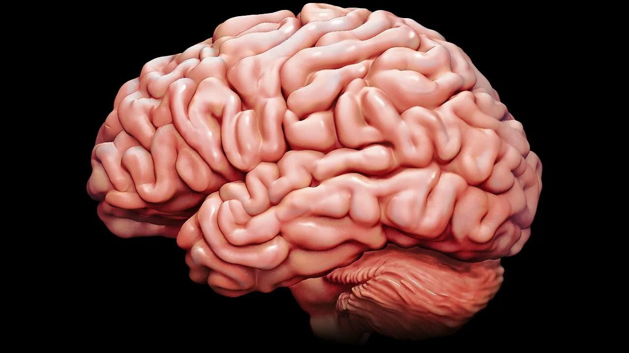 Viņi pēta cilvēka smadzenes un atklāj “slēdzi”, kas paātrina labu un sliktu ieradumu veidošanos.