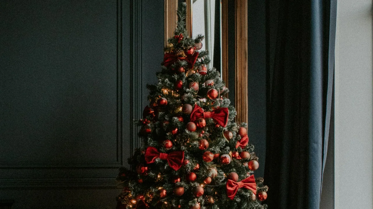 Klara Sans, floriste: «Ja vēlaties, lai jūsu māja Ziemassvētkos izskatītos lieliski, izrotājiet to ar šiem dzīvajiem augiem».