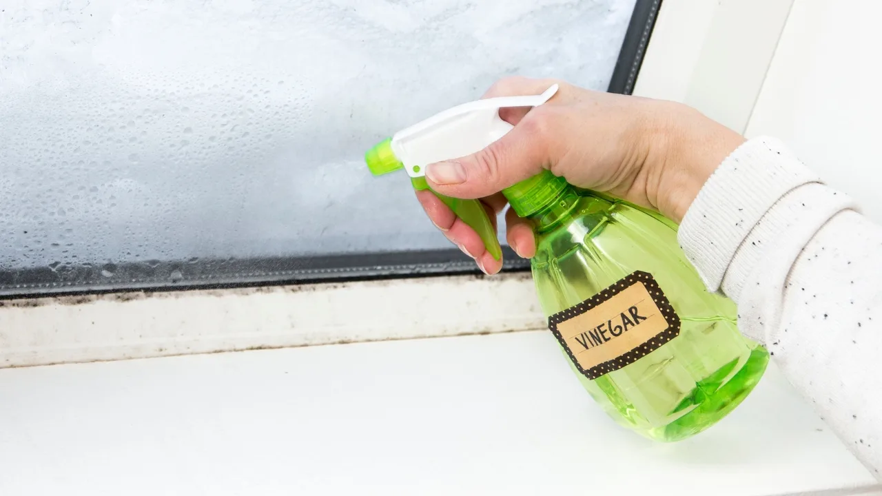 Kāpēc ir nepieciešams apsmidzināt logu sliedes ar etiķi un kāpēc tas ir ieteicams?