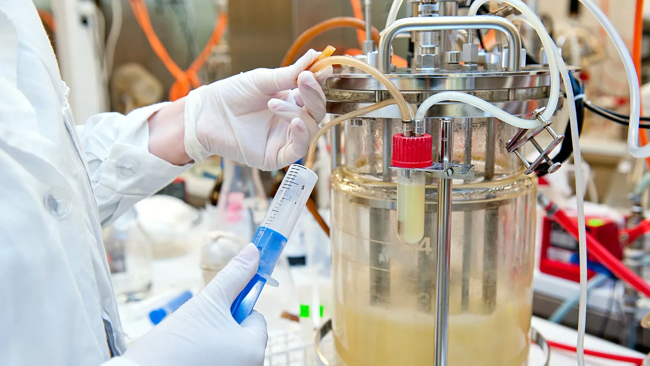 Augu hormons ļauj kontrolēt proteīnu saturu visā dzīvnieka dzīves laikā.