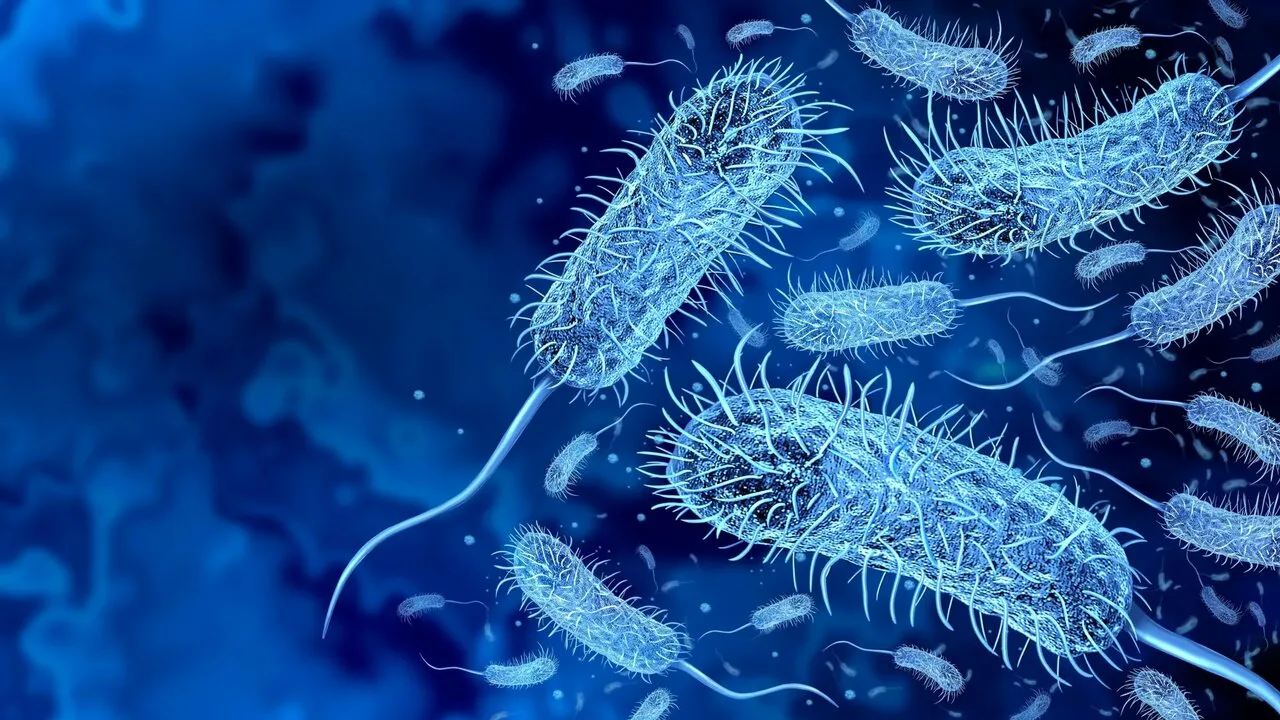 Pētnieki nevar tam noticēt: viņi ir atklājuši tūkstošiem jaunu mikroorganismu sugu dažādu zālēdāju dzīvnieku ekskrementos.