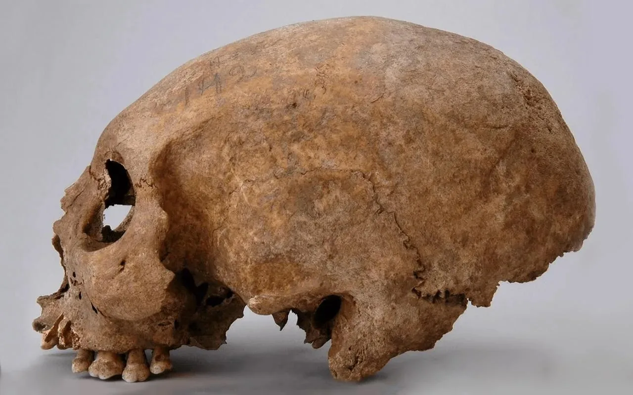 Scul I — meitene, kas dzīvoja pirms 140 000 gadiem un pārrakstīja neandertāliešu un Homo sapiens pirmā kontakta vēsturi