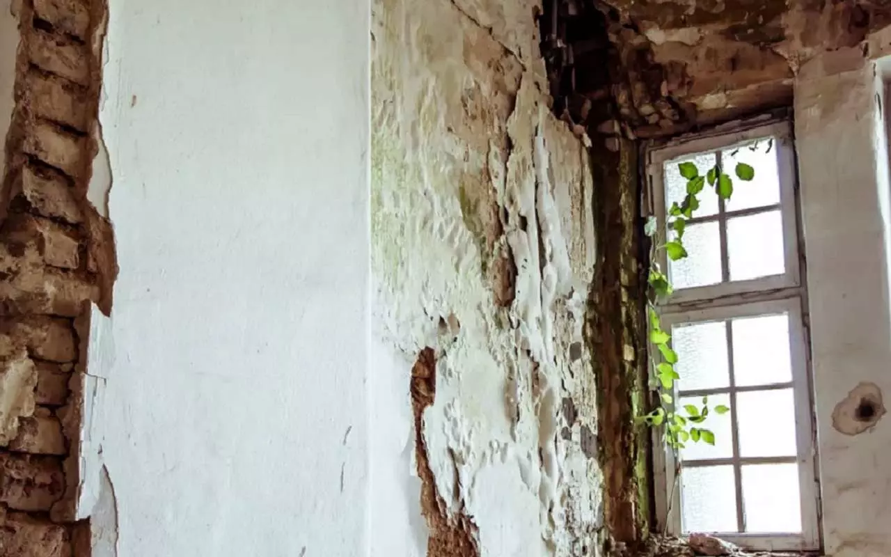 IL: Šādi var uzreiz atpazīt māju, kas skarta ar pelējumu.