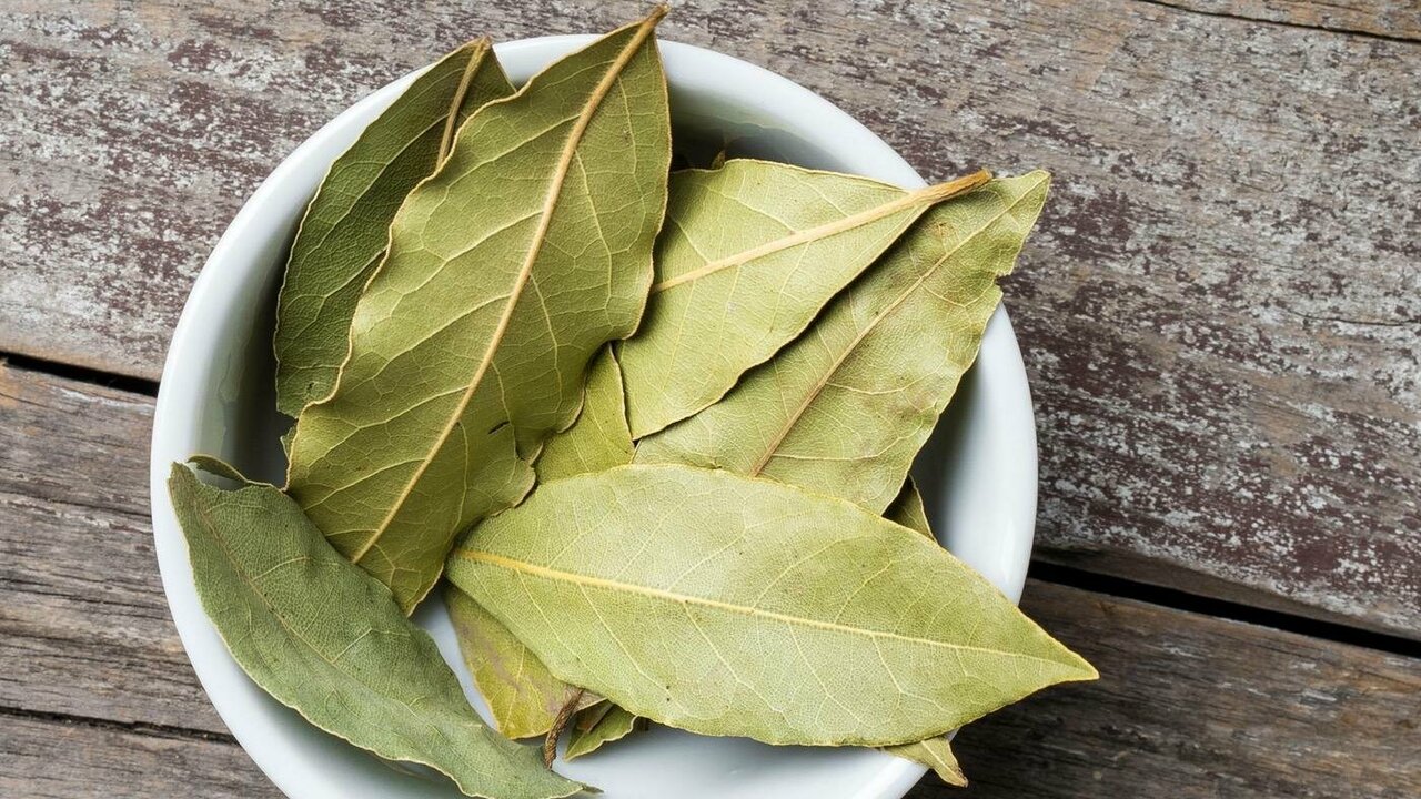 Kur mājā var novietot lauru lapas, lai piesaistītu veiksmi un atbaidītu prusakus?