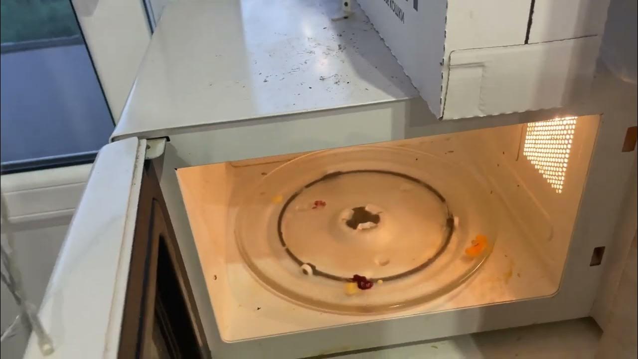 Tarakanu iecienītā vieta: tas ir ikdienā lietots aparāts, kas visvairāk piesaista šos kukaiņus.