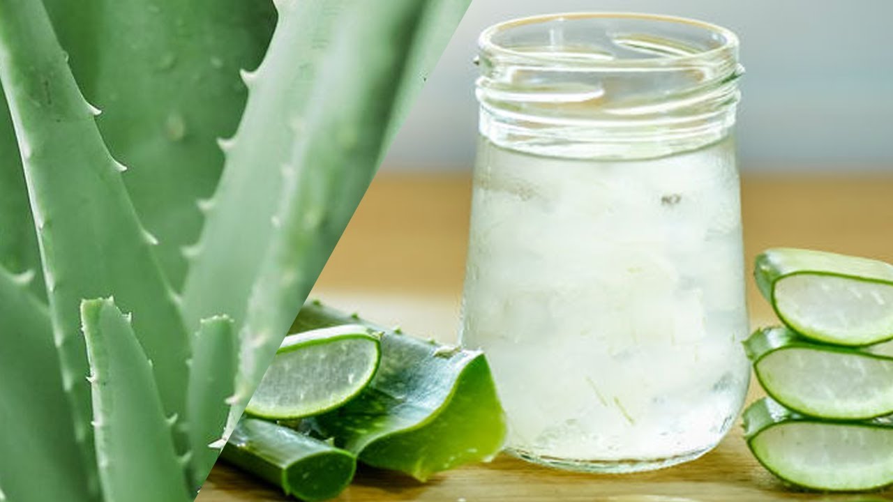 Kā pagatavot sejas krēmu ar alveju, lai stimulētu kolagēna ražošanu un ādas kopšanu.